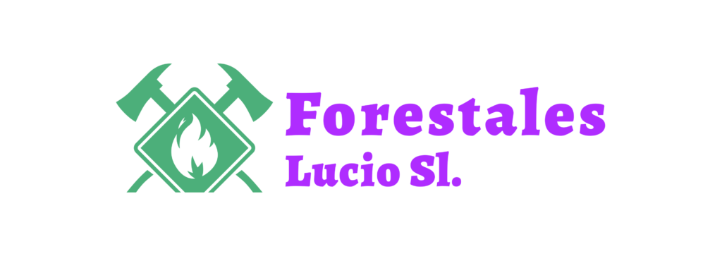 logo-transparent-png